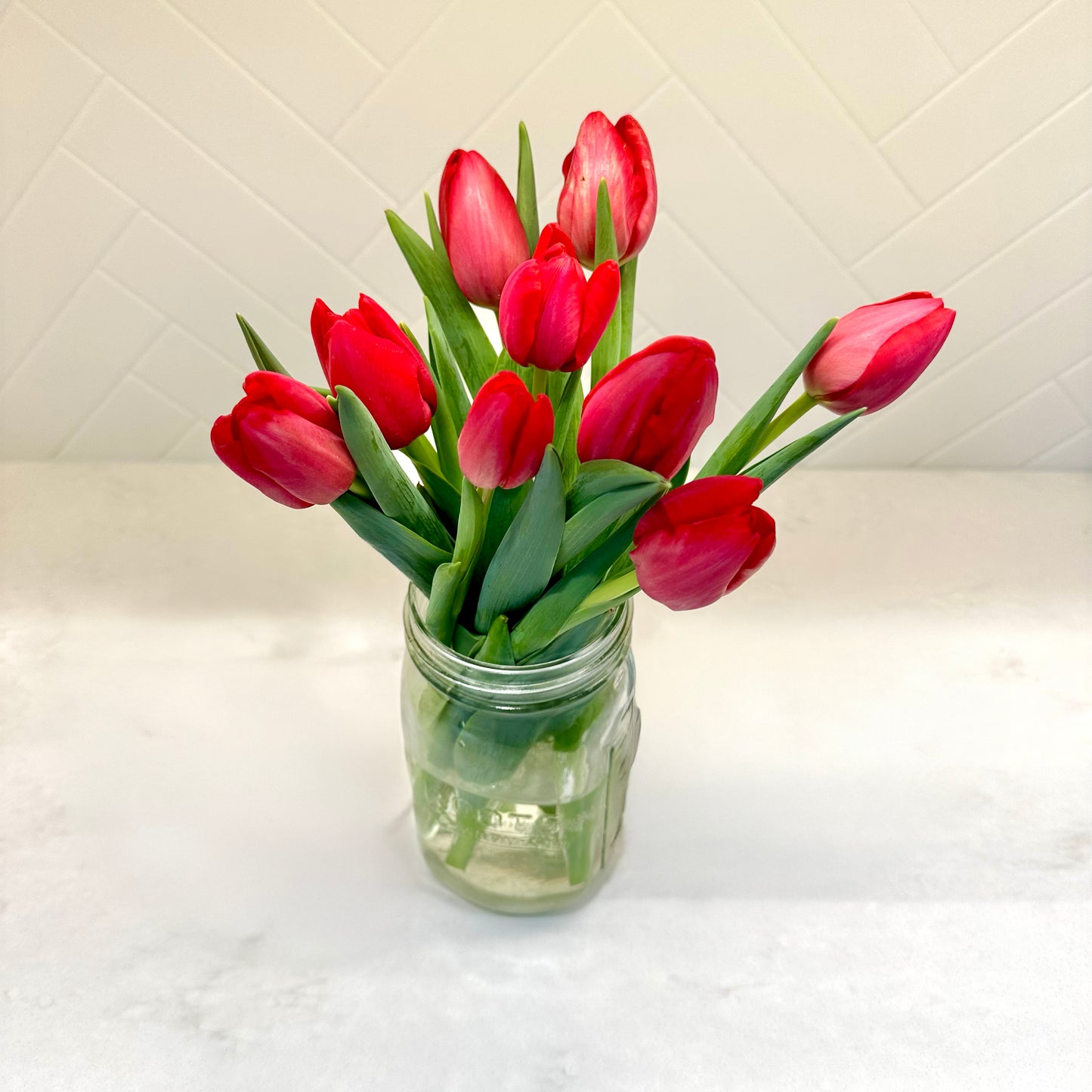 Christmas Tulips - Free Shipping!