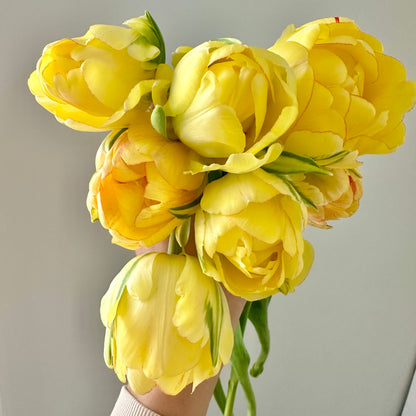 Sleeved Winter Tulip Bouquet - Home Delivery